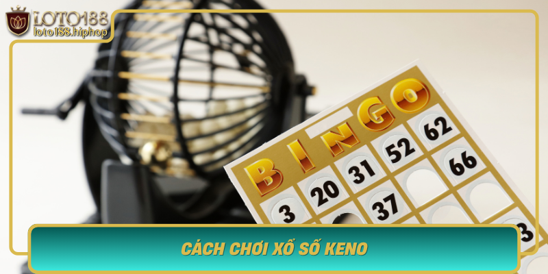 Khám Phá Thế Giới Xổ Số Keno - Bí Quyết Chinh Phục Loto188 3 Cach Choi Xo So Keno Nhung Nguyen Tac Co Ban De Bat Dau Chien Thang