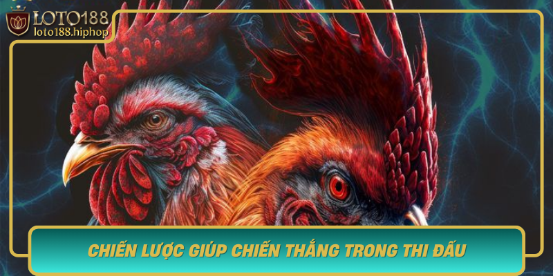 Chien Luoc Giup Chien Thang Trong Thi Dau Ga Lai My Tai Loto188