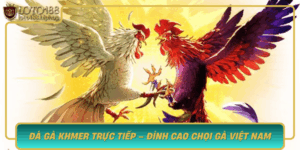 Da Ga Khmer Truc Tiep Dinh Cao Choi Ga Viet Nam