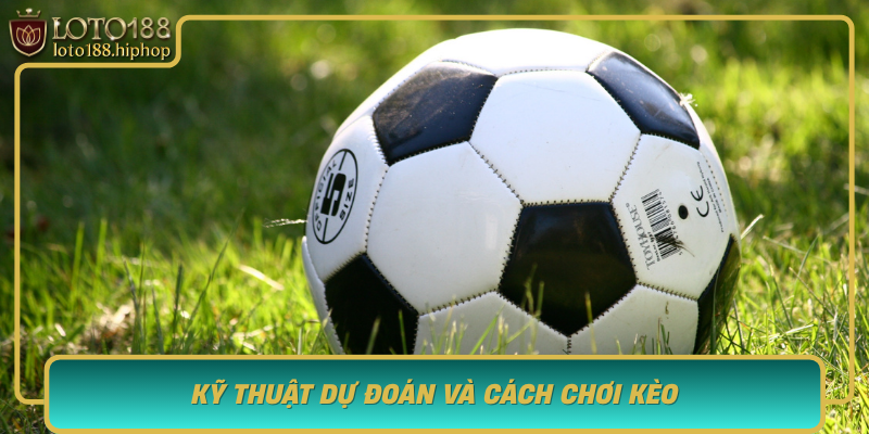 Ky Thuat Du Doan Va Cach Choi Keo Luan Luu 11M Hieu Qua