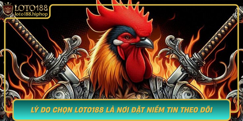 Ly Do Chon Loto188 La Noi Dat Niem Tin Theo Doi Da Ga Truc Tiep