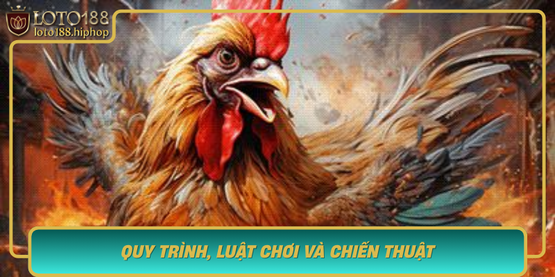 Quy Trinh Luat Choi Va Chien Thuat Trong Da Ga Khmer Truc Tiep