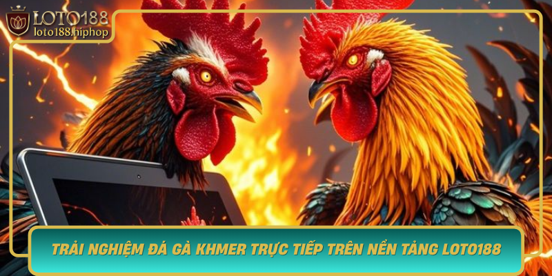 Trai Nghiem Da Ga Khmer Truc Tiep Tren Nen Tang Loto188