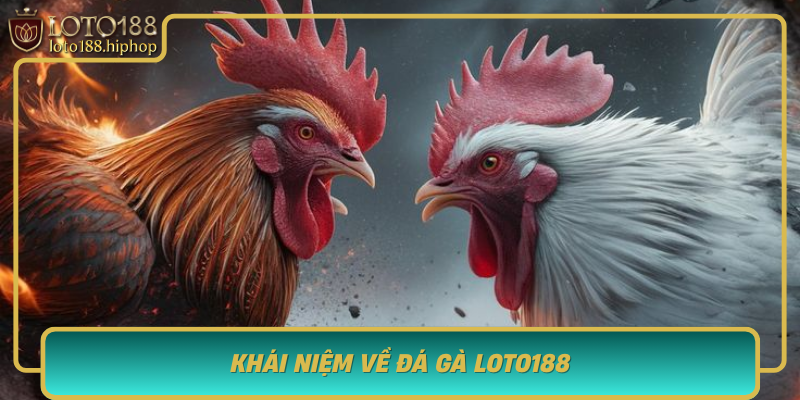 Khai Niem Ve Da Ga Loto188 Nen Tang Uy Tin Trong Ca Cuoc Ga