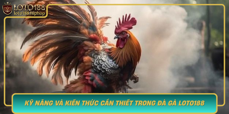 Ky Nang Va Kien Thuc Can Thiet Trong Da Ga Loto188